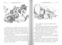 Афонский камушек. Рассказы со Святой Горы Афон
