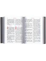 Новый Завет с параллельным переводом (на церковно-славянском и русском языках)